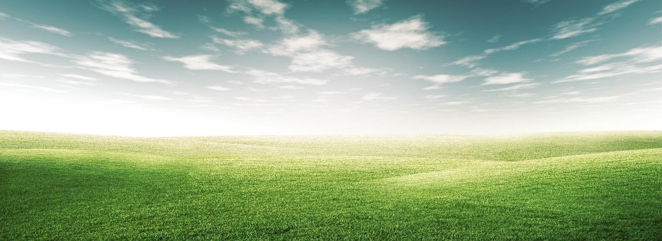 curvy-slider-grass-background